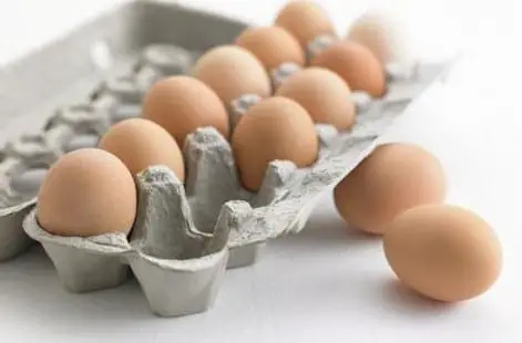 Cuántas gallinas tener por metro cuadrado huevo