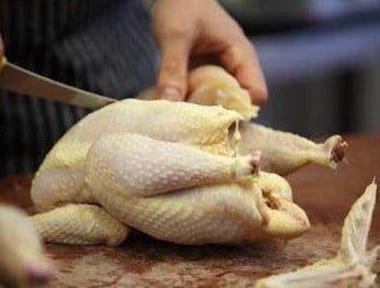 Cuántas gallinas tener por metro cuadrado pollo