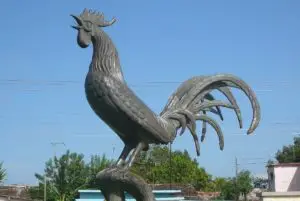 gallo símbolo