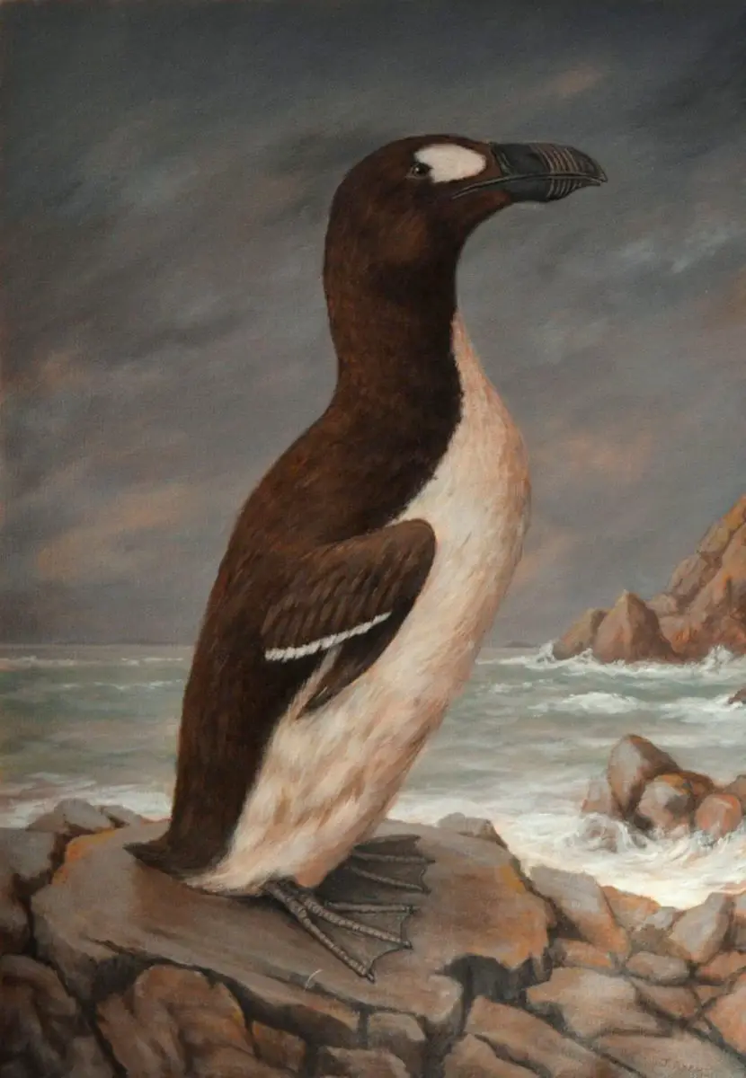  Pingüino gigante