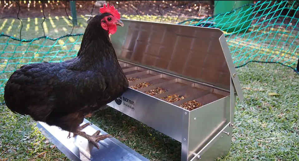 Comederos para gallinas antipájaros caseros
