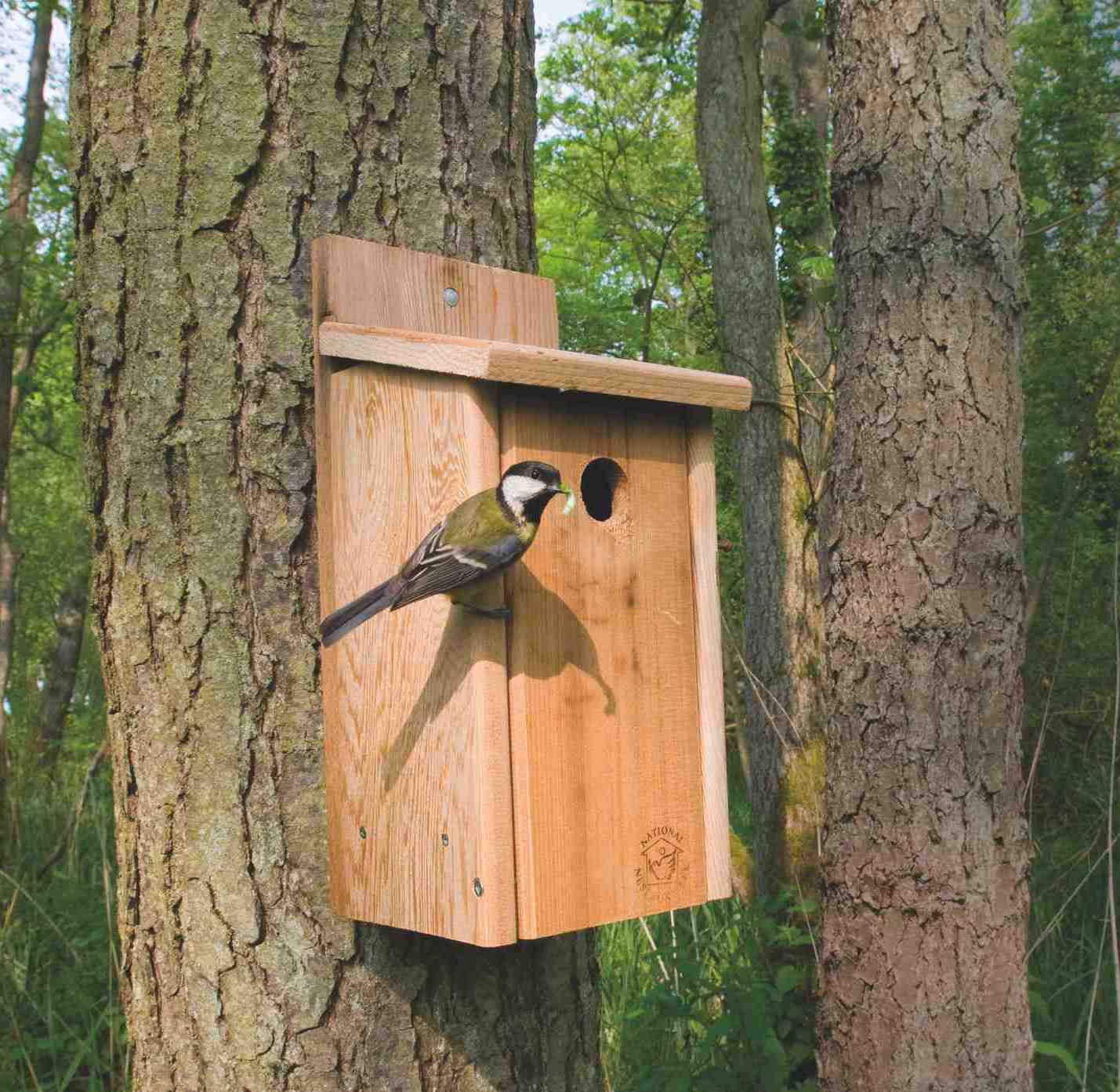 4 X nuevo de madera Caja de nido tradicional Nido de Pájaro Casa pequeñas aves bluetit Robin