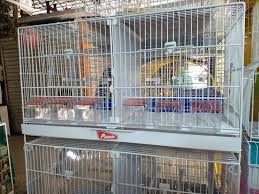 jaulas pedrós para aves