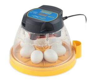 incubadora de 7 y 12 huevos 