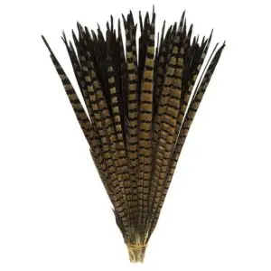 plumas de faisán 2