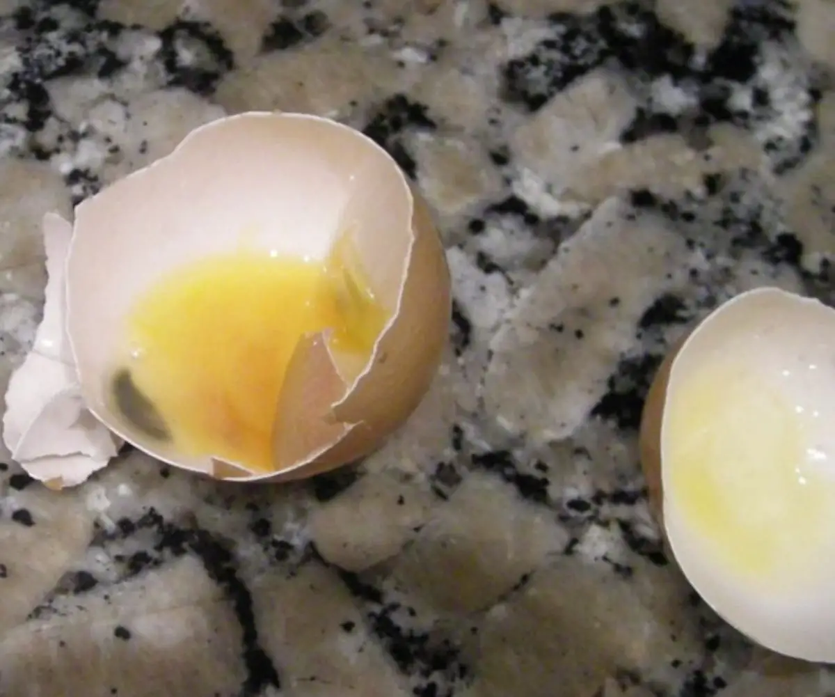 Cómo saber si un huevo es fértil 
